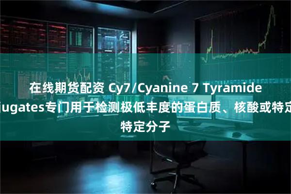 在线期货配资 Cy7/Cyanine 7 Tyramide Conjugates专门用于检测极低丰度的蛋白质、核酸或特定分子