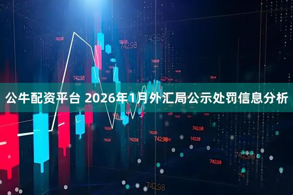 公牛配资平台 2026年1月外汇局公示处罚信息分析