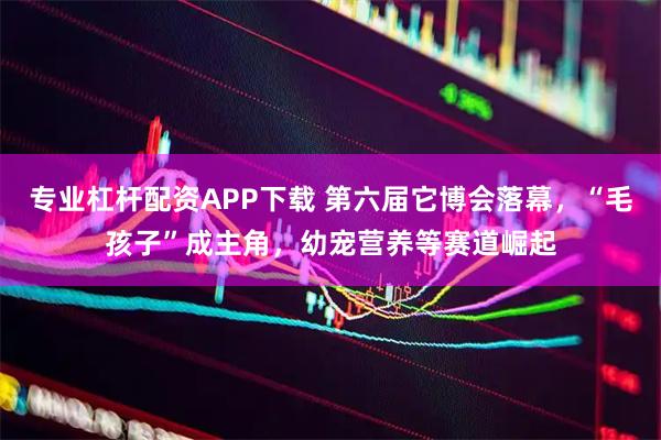 专业杠杆配资APP下载 第六届它博会落幕，“毛孩子”成主角，幼宠营养等赛道崛起